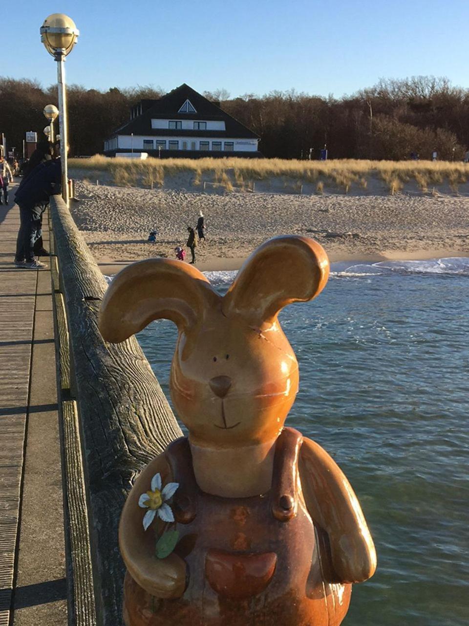 Hotel Ostseewoge Graal-Mueritz Exteriör bild